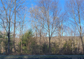 671 Fern Hill Road, Bristol, Connecticut 06010, ,Lots And Land For Sale,For Sale,Fern Hill,170463098