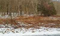 0 Hart Street, Bristol, Connecticut 06010, ,Lots And Land For Sale,For Sale,Hart,170255530
