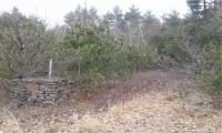 44 Red Oak Drive, Killingly, Connecticut 06239, ,Lots And Land For Sale,For Sale,Red Oak,170472628