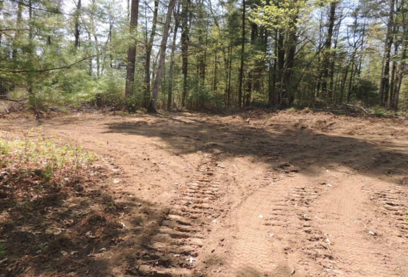 730 Clayton Road, Sheffield, Massachusetts 01257, ,Lots And Land For Sale,For Sale,Clayton,L141454