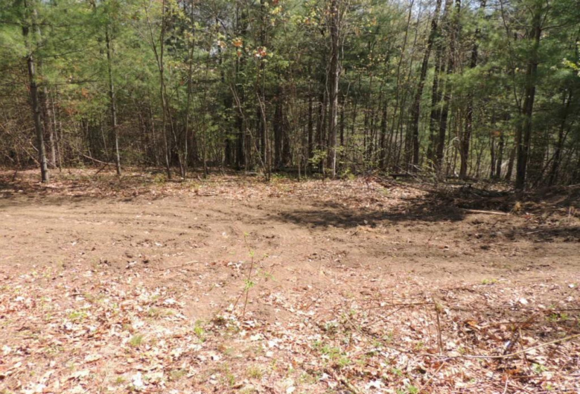 730 Clayton Road, Sheffield, Massachusetts 01257, ,Lots And Land For Sale,For Sale,Clayton,L141454