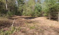 730 Clayton Road, Sheffield, Massachusetts 01257, ,Lots And Land For Sale,For Sale,Clayton,L141454