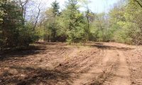 730 Clayton Road, Sheffield, Massachusetts 01257, ,Lots And Land For Sale,For Sale,Clayton,L141454