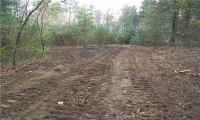 730 Clayton Road, Sheffield, Massachusetts 01257, ,Lots And Land For Sale,For Sale,Clayton,L141454