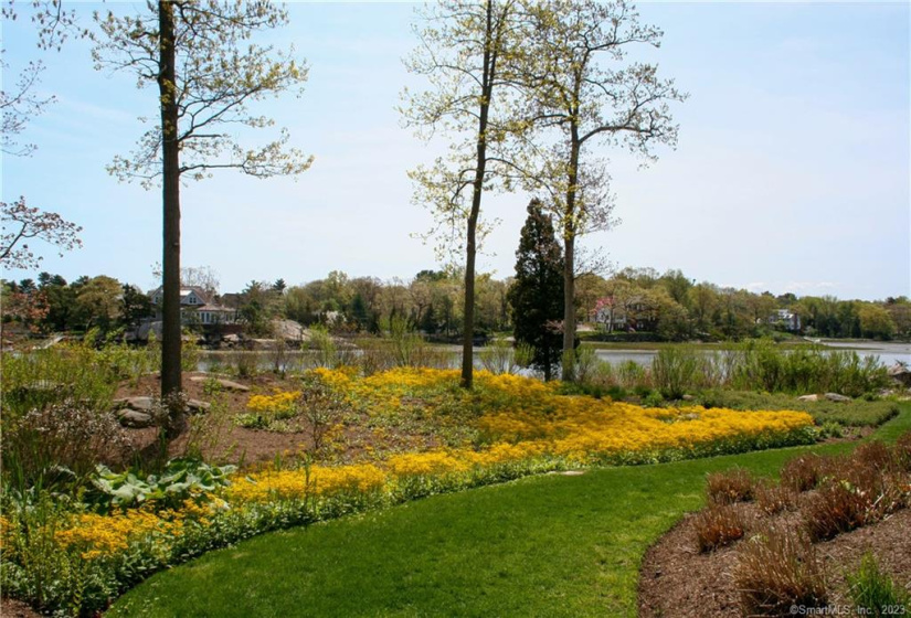 21 Tokeneke Trail, Darien, Connecticut 06820, ,Lots And Land For Sale,For Sale,Tokeneke,170477764