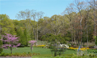 21 Tokeneke Trail, Darien, Connecticut 06820, ,Lots And Land For Sale,For Sale,Tokeneke,170477764