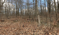 Lot 12 Weed Rd, Torrington, Connecticut 06790, ,Lots And Land For Sale,For Sale,Weed Rd,170479428