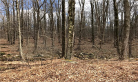Lot 12 Weed Rd, Torrington, Connecticut 06790, ,Lots And Land For Sale,For Sale,Weed Rd,170479428