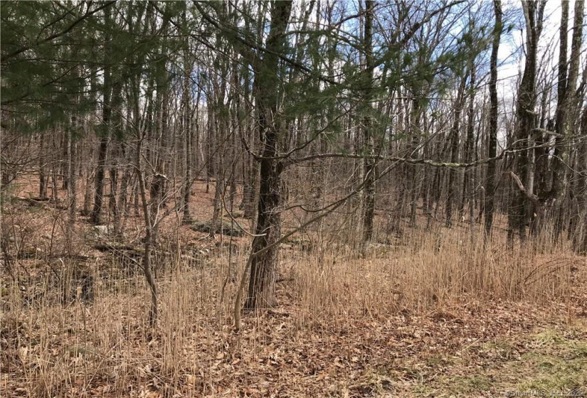 Lot 12 Weed Rd, Torrington, Connecticut 06790, ,Lots And Land For Sale,For Sale,Weed Rd,170479428