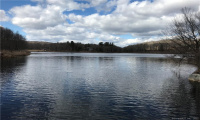 Lot 12 Weed Rd, Torrington, Connecticut 06790, ,Lots And Land For Sale,For Sale,Weed Rd,170479428