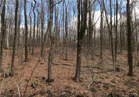 Lot 12 Weed Rd, Torrington, Connecticut 06790, ,Lots And Land For Sale,For Sale,Weed Rd,170479428
