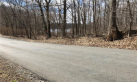 Lot 12 Weed Rd, Torrington, Connecticut 06790, ,Lots And Land For Sale,For Sale,Weed Rd,170479428