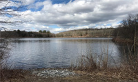 Lot 12 Weed Rd, Torrington, Connecticut 06790, ,Lots And Land For Sale,For Sale,Weed Rd,170479428