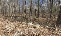 Lot 12 Weed Rd, Torrington, Connecticut 06790, ,Lots And Land For Sale,For Sale,Weed Rd,170479428