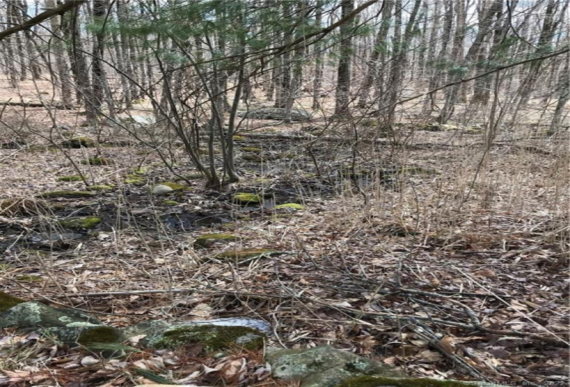 Lot 12 Weed Rd, Torrington, Connecticut 06790, ,Lots And Land For Sale,For Sale,Weed Rd,170479428