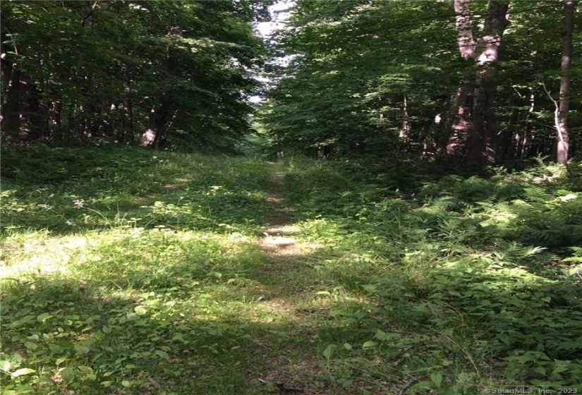 00 Greenwoods Road, Norfolk, Connecticut 06058, ,Lots And Land For Sale,For Sale,Greenwoods,170392753