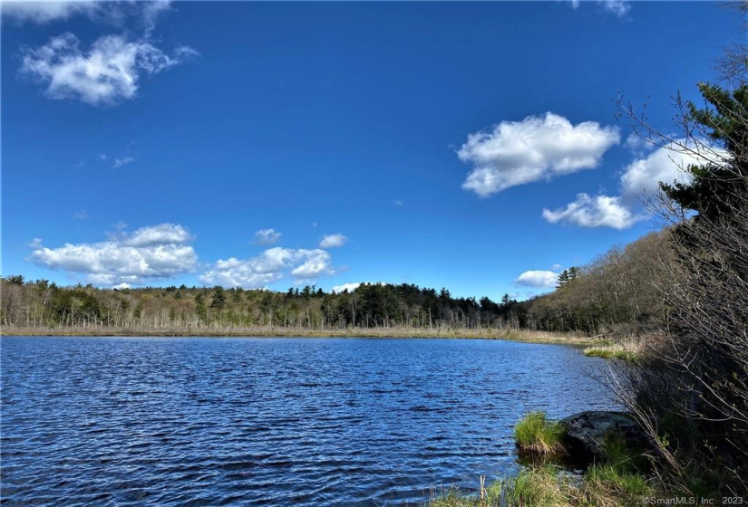 00 Greenwoods Road, Norfolk, Connecticut 06058, ,Lots And Land For Sale,For Sale,Greenwoods,170392753