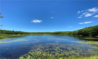 00 Greenwoods Road, Norfolk, Connecticut 06058, ,Lots And Land For Sale,For Sale,Greenwoods,170392753