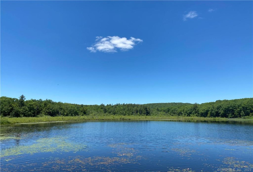00 Greenwoods Road, Norfolk, Connecticut 06058, ,Lots And Land For Sale,For Sale,Greenwoods,170392753