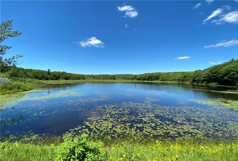 00 Greenwoods Road, Norfolk, Connecticut 06058, ,Lots And Land For Sale,For Sale,Greenwoods,170392753