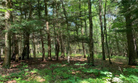 107 Morris Road, Washington, Connecticut 06794, ,Lots And Land For Sale,For Sale,Morris,170266554