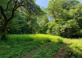 107 Morris Road, Washington, Connecticut 06794, ,Lots And Land For Sale,For Sale,Morris,170266554
