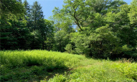 107 Morris Road, Washington, Connecticut 06794, ,Lots And Land For Sale,For Sale,Morris,170266554