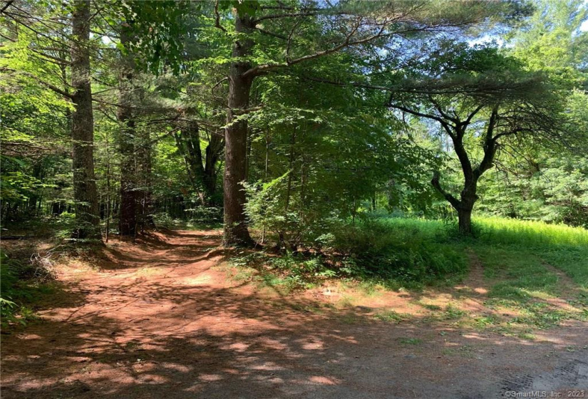 107 Morris Road, Washington, Connecticut 06794, ,Lots And Land For Sale,For Sale,Morris,170266554
