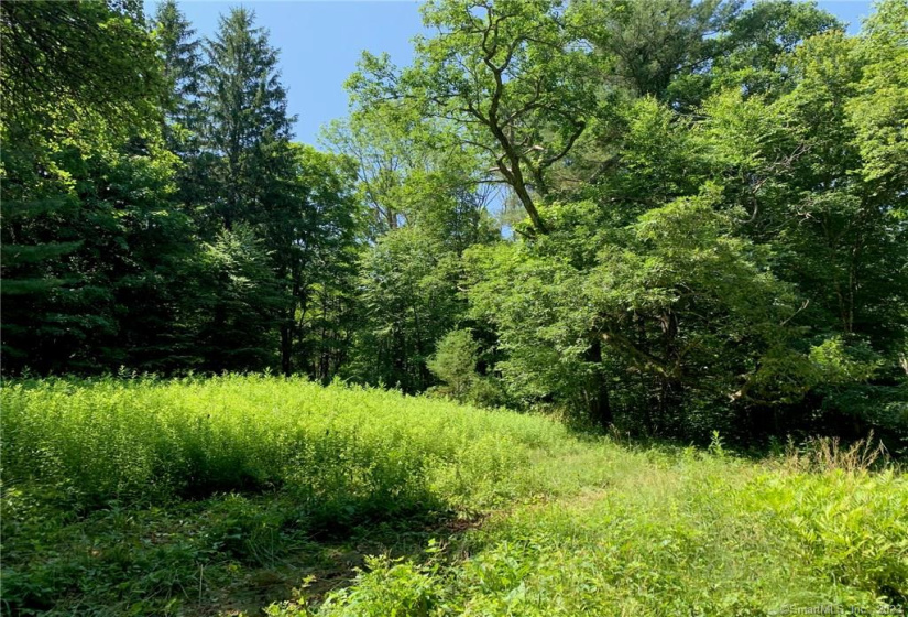 107 Morris Road, Washington, Connecticut 06794, ,Lots And Land For Sale,For Sale,Morris,170266554