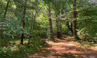 107 Morris Road, Washington, Connecticut 06794, ,Lots And Land For Sale,For Sale,Morris,170266554