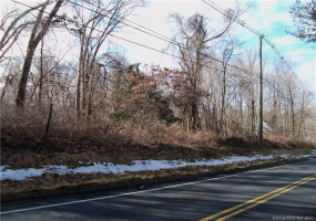 100 Bucks Hill Road, Southbury, Connecticut 06488, ,Lots And Land For Sale,For Sale,Bucks Hill,170266953