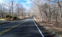 100 Bucks Hill Road, Southbury, Connecticut 06488, ,Lots And Land For Sale,For Sale,Bucks Hill,170266953
