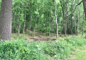 31 Parum Road, Colchester, Connecticut 06415, ,Lots And Land For Sale,For Sale,Parum,170266971