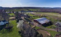 148/153 Wallingford Road, Durham, Connecticut 06422, ,Lots And Land For Sale,For Sale,Wallingford,170484563