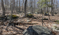 0 Wagon Wheel Road, Sherman, Connecticut 06784, ,Lots And Land For Sale,For Sale,Wagon Wheel,170486854