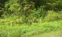 lot 477 Sherbrook Drive, Goshen, Connecticut 06756, ,Lots And Land For Sale,For Sale,Sherbrook,170437740