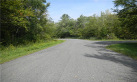 lot 477 Sherbrook Drive, Goshen, Connecticut 06756, ,Lots And Land For Sale,For Sale,Sherbrook,170437740
