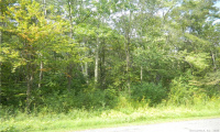 lot 477 Sherbrook Drive, Goshen, Connecticut 06756, ,Lots And Land For Sale,For Sale,Sherbrook,170437740