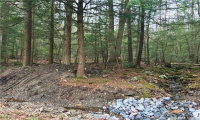 393 Winchester Road, Winchester, Connecticut 06098, ,Lots And Land For Sale,For Sale,Winchester,170078080