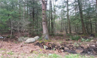 393 Winchester Road, Winchester, Connecticut 06098, ,Lots And Land For Sale,For Sale,Winchester,170078080