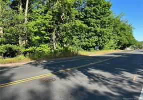 283 Main Street, Ansonia, Connecticut 06401, ,Lots And Land For Sale,For Sale,Main,170488657
