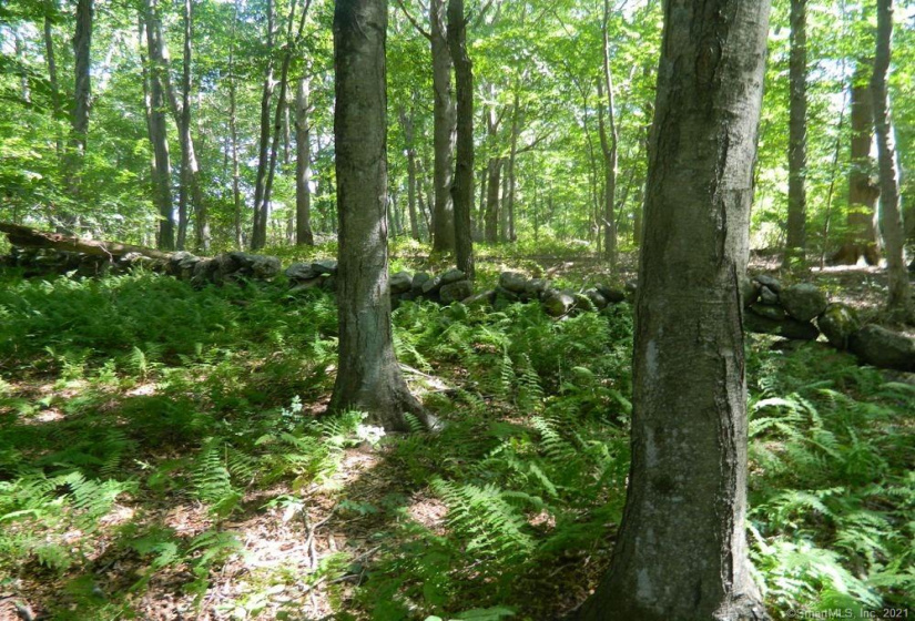 184 Shore Road, Old Lyme, Connecticut 06371, ,Lots And Land For Sale,For Sale,Shore,170303555
