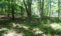 184 Shore Road, Old Lyme, Connecticut 06371, ,Lots And Land For Sale,For Sale,Shore,170303555