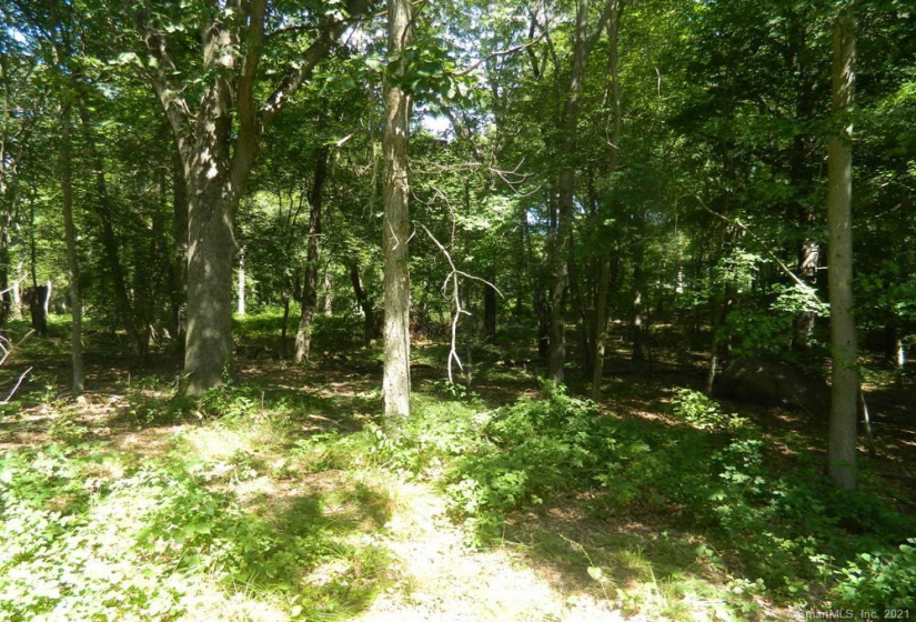 184 Shore Road, Old Lyme, Connecticut 06371, ,Lots And Land For Sale,For Sale,Shore,170303555