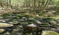 0000 Winsted-Norfolk Road, Winchester, Connecticut 06098, ,Lots And Land For Sale,For Sale,Winsted-Norfolk,170304263