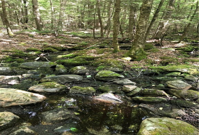 0000 Winsted-Norfolk Road, Winchester, Connecticut 06098, ,Lots And Land For Sale,For Sale,Winsted-Norfolk,170304263