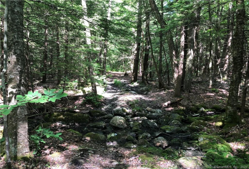 0000 Winsted-Norfolk Road, Winchester, Connecticut 06098, ,Lots And Land For Sale,For Sale,Winsted-Norfolk,170304263