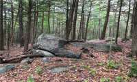 0000 Winsted-Norfolk Road, Winchester, Connecticut 06098, ,Lots And Land For Sale,For Sale,Winsted-Norfolk,170304263