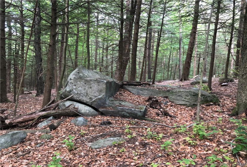 0000 Winsted-Norfolk Road, Winchester, Connecticut 06098, ,Lots And Land For Sale,For Sale,Winsted-Norfolk,170304263
