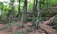 0000 Winsted-Norfolk Road, Winchester, Connecticut 06098, ,Lots And Land For Sale,For Sale,Winsted-Norfolk,170304263
